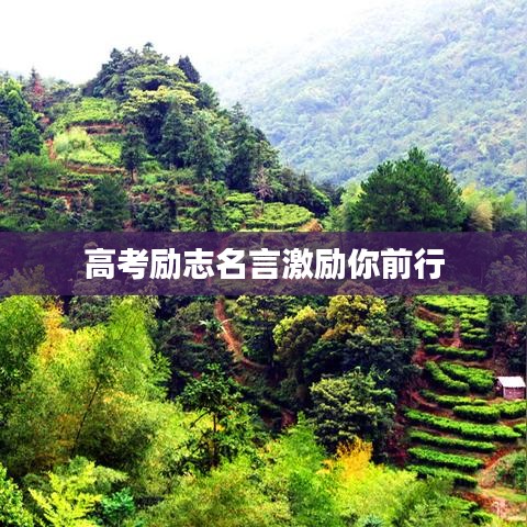 高考励志名言激励你前行