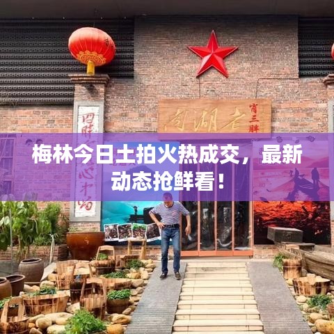 梅林今日土拍火热成交，最新动态抢鲜看！