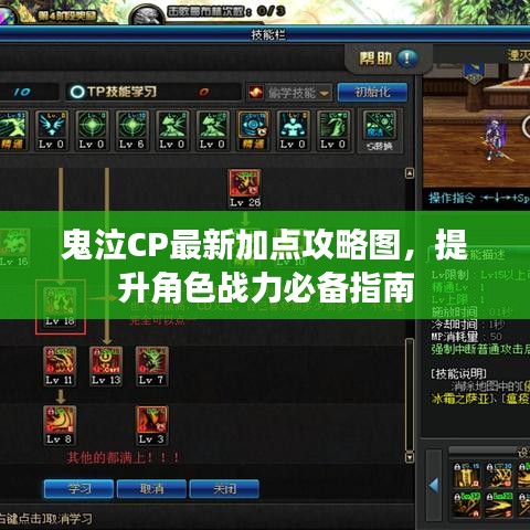 鬼泣CP最新加点攻略图，提升角色战力必备指南