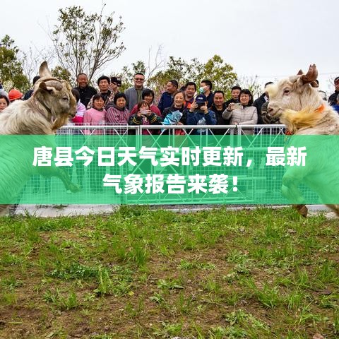 唐县今日天气实时更新，最新气象报告来袭！