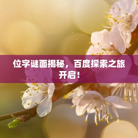 位字谜面揭秘，百度探索之旅开启！