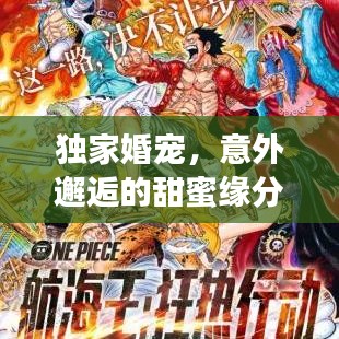 独家婚宠，意外邂逅的甜蜜缘分