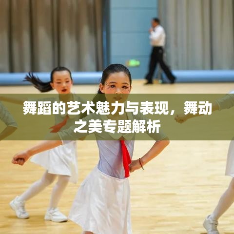 舞蹈的艺术魅力与表现，舞动之美专题解析