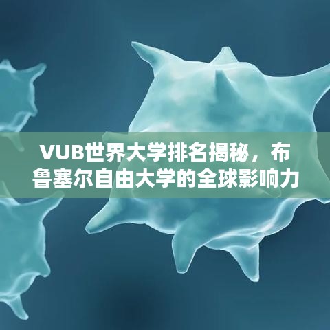 VUB世界大学排名揭秘，布鲁塞尔自由大学的全球影响力探究