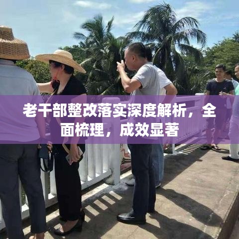 老干部整改落实深度解析，全面梳理，成效显著