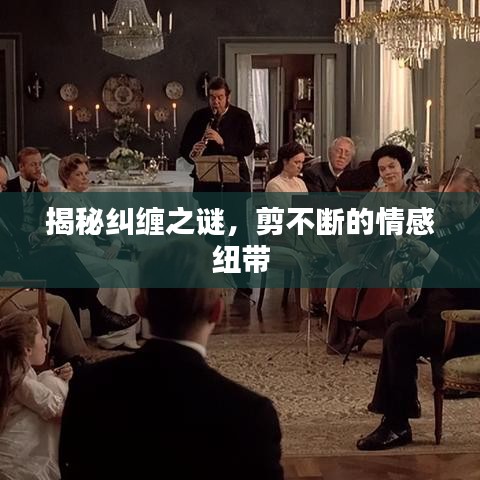揭秘纠缠之谜，剪不断的情感纽带