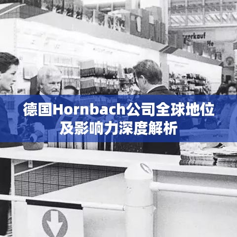 德国Hornbach公司全球地位及影响力深度解析