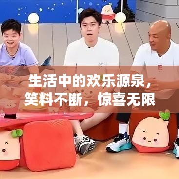 生活中的欢乐源泉，笑料不断，惊喜无限！