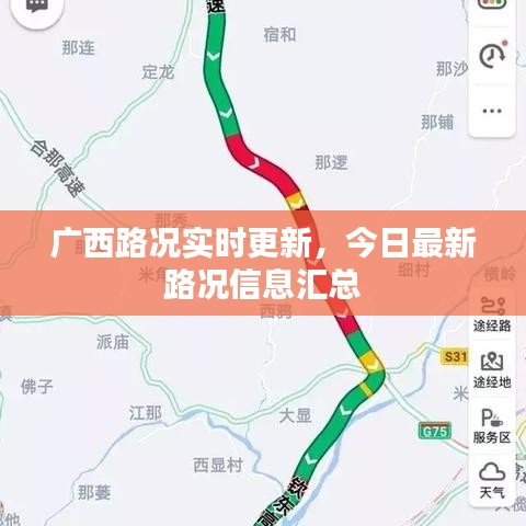 轻飞曼舞