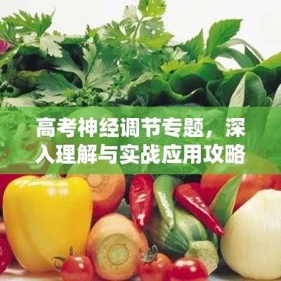 井底之蛙