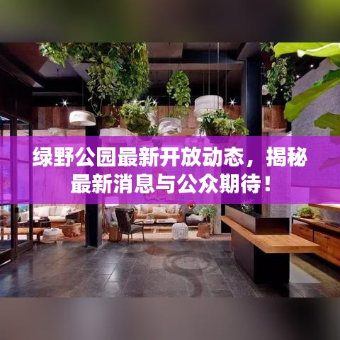 绿野公园最新开放动态，揭秘最新消息与公众期待！