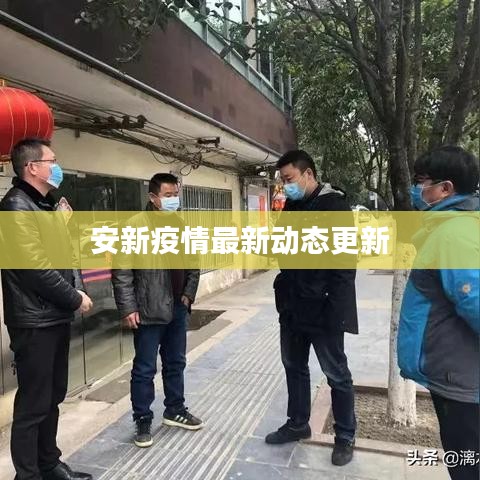 安新疫情最新动态更新