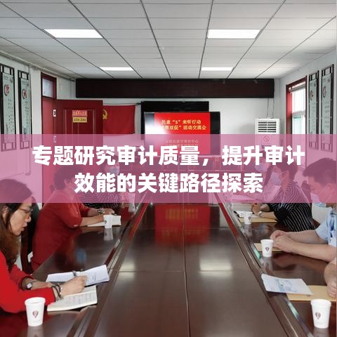 专题研究审计质量，提升审计效能的关键路径探索