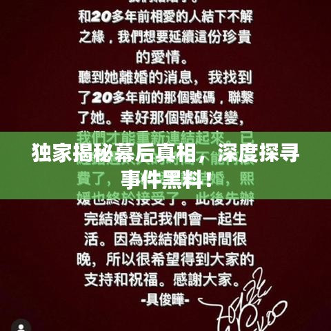候鸟南飞