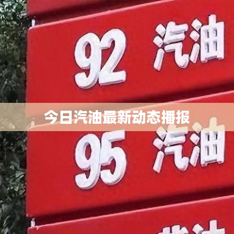 打张鸡儿