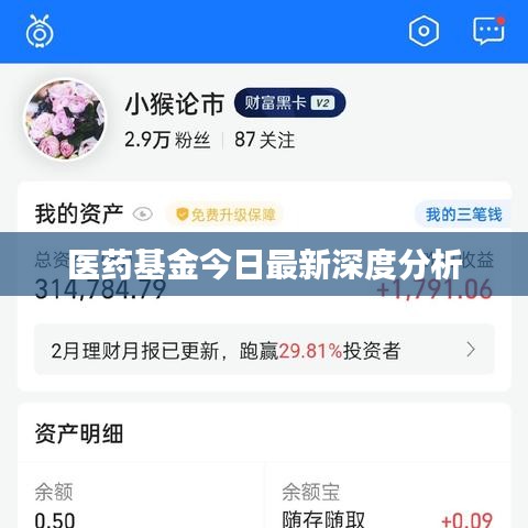 医药基金今日最新深度分析