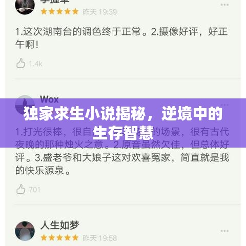 独家求生小说揭秘，逆境中的生存智慧