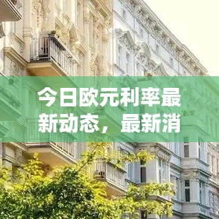 今日欧元利率最新动态，最新消息一览
