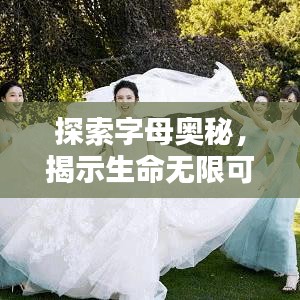 探索字母奥秘，揭示生命无限可能