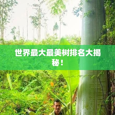 世界最大最美树排名大揭秘！