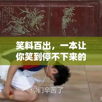 关于我们 第13页