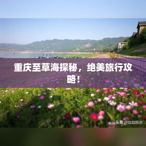 重庆至草海探秘，绝美旅行攻略！