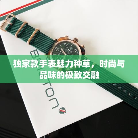 独家款手表魅力种草，时尚与品味的极致交融