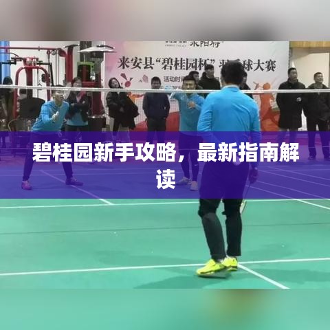 碧桂园新手攻略，最新指南解读