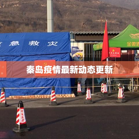 秦岛疫情最新动态更新