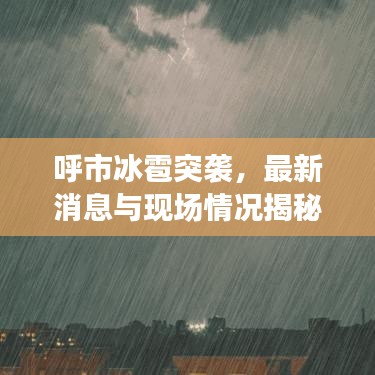 呼市冰雹突袭，最新消息与现场情况揭秘