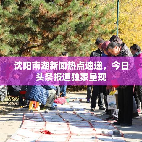 沈阳南湖新闻热点速递，今日头条报道独家呈现