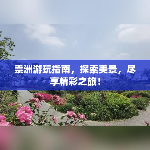 祟洲游玩指南，探索美景，尽享精彩之旅！