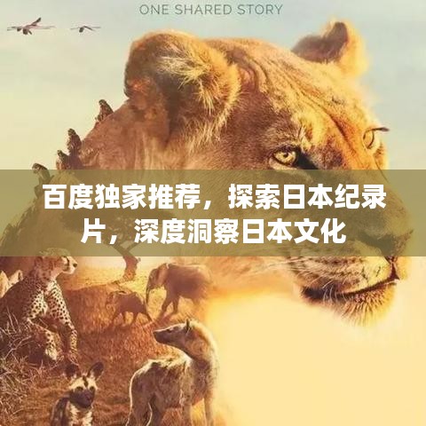 百度独家推荐，探索日本纪录片，深度洞察日本文化