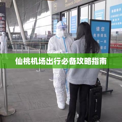 仙桃机场出行必备攻略指南