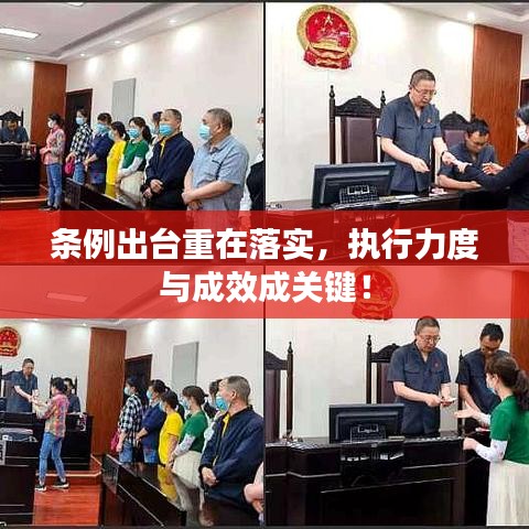 条例出台重在落实，执行力度与成效成关键！