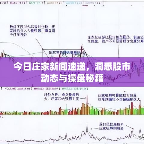 今日庄家新闻速递，洞悉股市动态与操盘秘籍