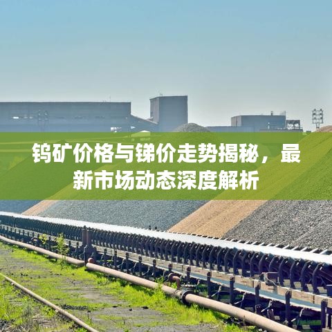 联系方式 第10页