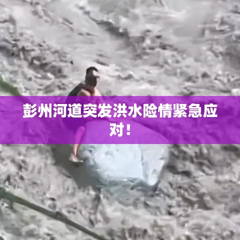 关于我们 第9页