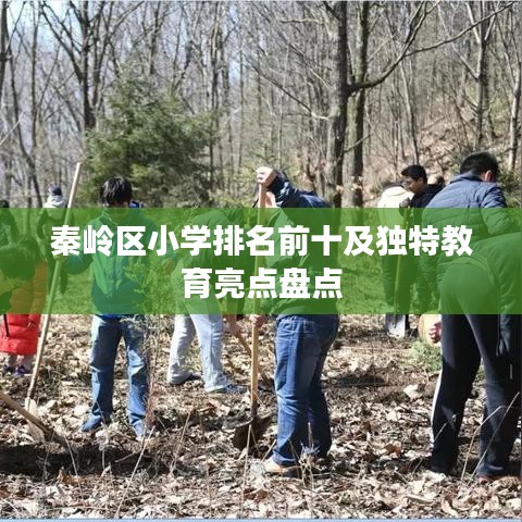 秦岭区小学排名前十及独特教育亮点盘点