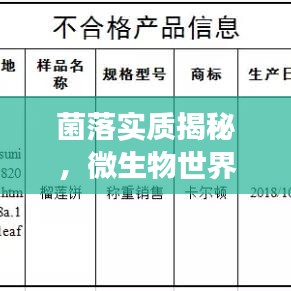菌落实质揭秘，微生物世界的心脏所在