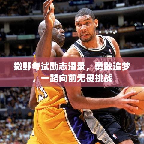 撒野考试励志语录，勇敢追梦，一路向前无畏挑战