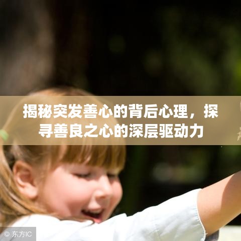 揭秘突发善心的背后心理，探寻善良之心的深层驱动力