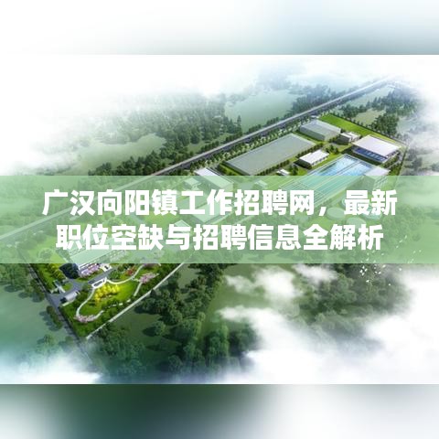 广汉向阳镇工作招聘网，最新职位空缺与招聘信息全解析
