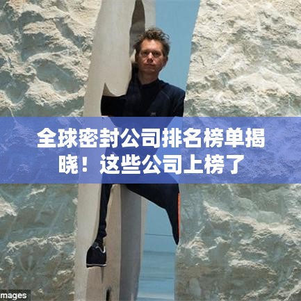 全球密封公司排名榜单揭晓！这些公司上榜了