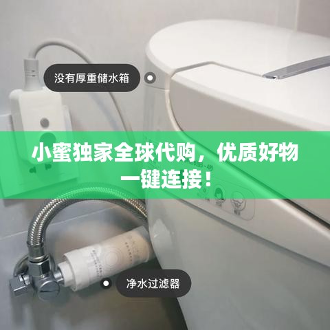 小蜜独家全球代购，优质好物一键连接！