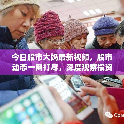 今日股市大妈最新视频，股市动态一网打尽，深度观察投资者行为
