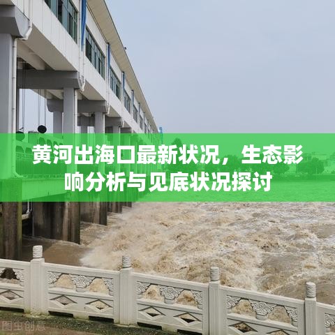 黄河出海口最新状况，生态影响分析与见底状况探讨