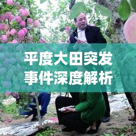 关于我们 第7页