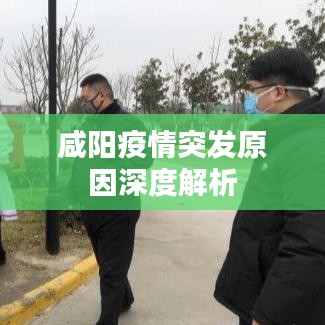 咸阳疫情突发原因深度解析
