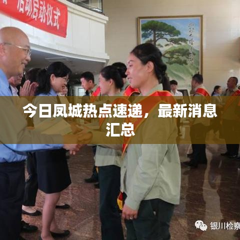 今日凤城热点速递，最新消息汇总